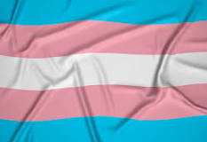 Trans Flag